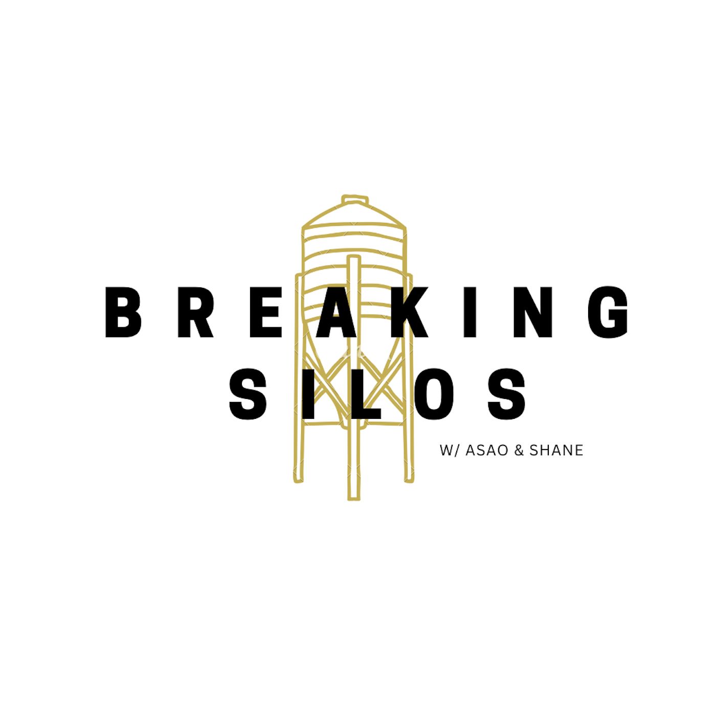 Breaking Silos