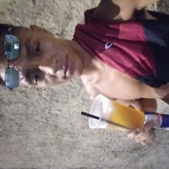 llppaulo