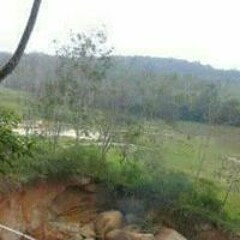 Hantu Rimba