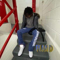 Plan D