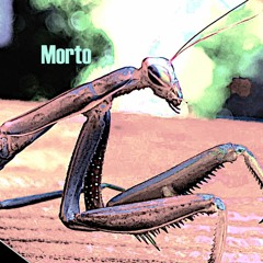 morto