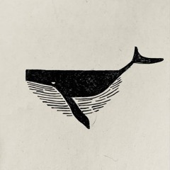 علیــــــــــــــــــــ