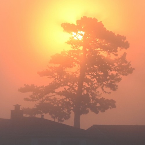 stream-grain-of-truth-listen-to-podcast-episodes-online-for-free-on-soundcloud