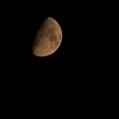 Fate of Ophelia | Taylor Swift | Cover