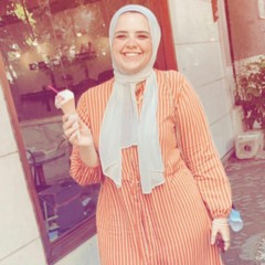 Nour Salah Nasr