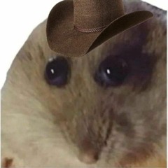 yeee_haw