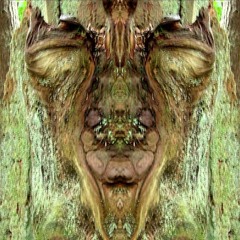 Wildingtree