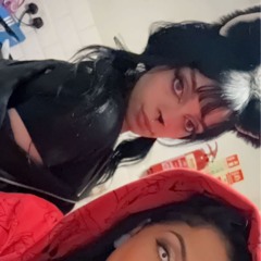 kittykat