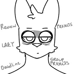 Bunni Chi027