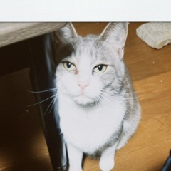 Lil涅ロ