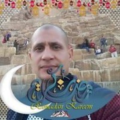 علاء الجنيدى