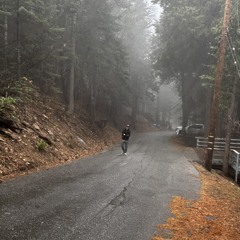 Snowchase
