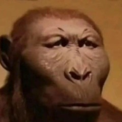 Mr. Manz
