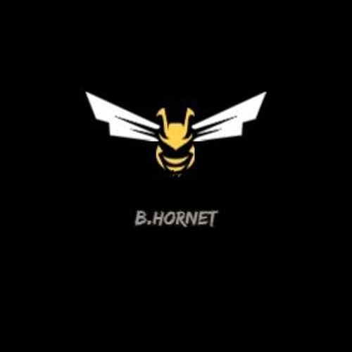 Snap - Rhythm Is A Dancer (B.Hornet Remix)