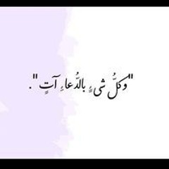 Amira A. Fayed