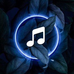 SEKO 🎶