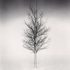 |[#]|><|{~}|<>|(¥)|