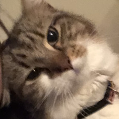 (￣^￣)