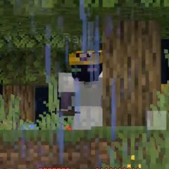 Cinnax_rL