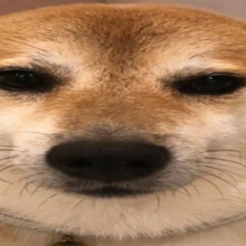 *frog*