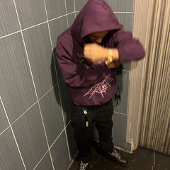 824Motion 🦈