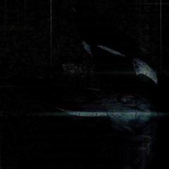 Altermare