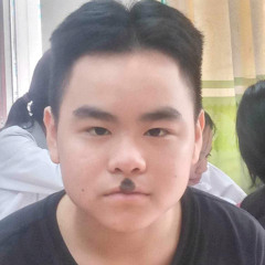 Trung Hieu