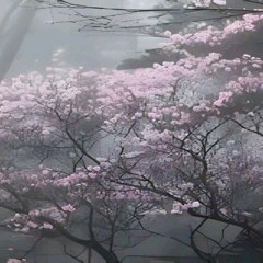 𝓱𝓮𝓭𝓲𝓮𝓭𝔂𝓮𝓼𝓽𝓮𝓻𝓭𝓪𝔂