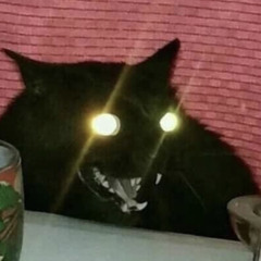 ⍟𝙱𝙰𝙱𝙾𝙾𝙱𝚂⍟