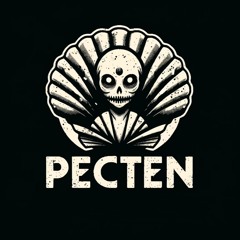 Pecten
