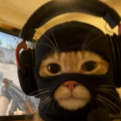 Gatto