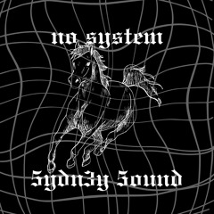 NO SYSTEM