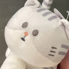 湯米仔--