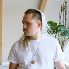 Schnellvyn