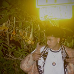 NAZZA