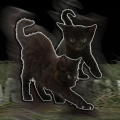 xilvr