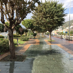 Ирек Шакиров