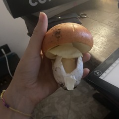 Giuseppi Giusep