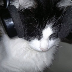 dj softpawz