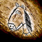 horse disorder