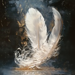 Circulation of Light