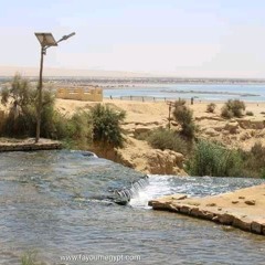abdo