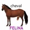 CHEVAL