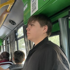 Шмальуничтожитель