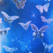 🦋