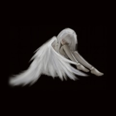 чемодан -dailylair, allergic2cats, athysue