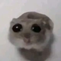 느개미