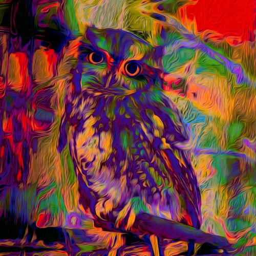 Owl Distortion’s avatar