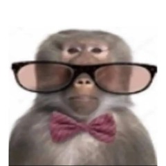 𝐜̴̵̶̡̢̧̨̛̍̀́̕͘͏̸̷͜͟͢͝͞͠͡҉̖̗̘̙̜̝̞̟̠̤̥̦̩̪̫̬̭̮̯̰̱̲̳̹