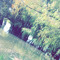 pxpi_jose831